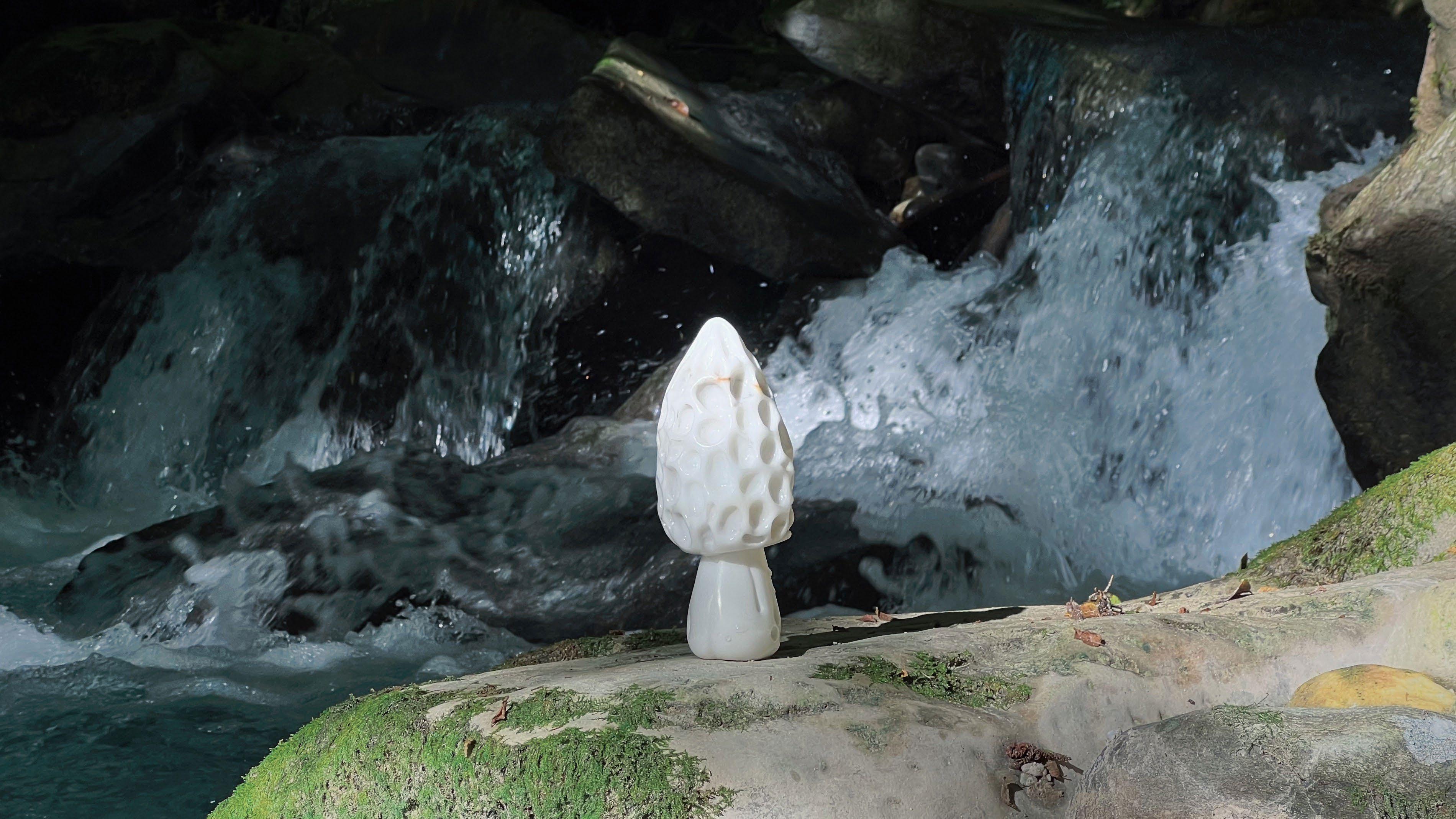 Dream Mushroom - Thumbnail 3