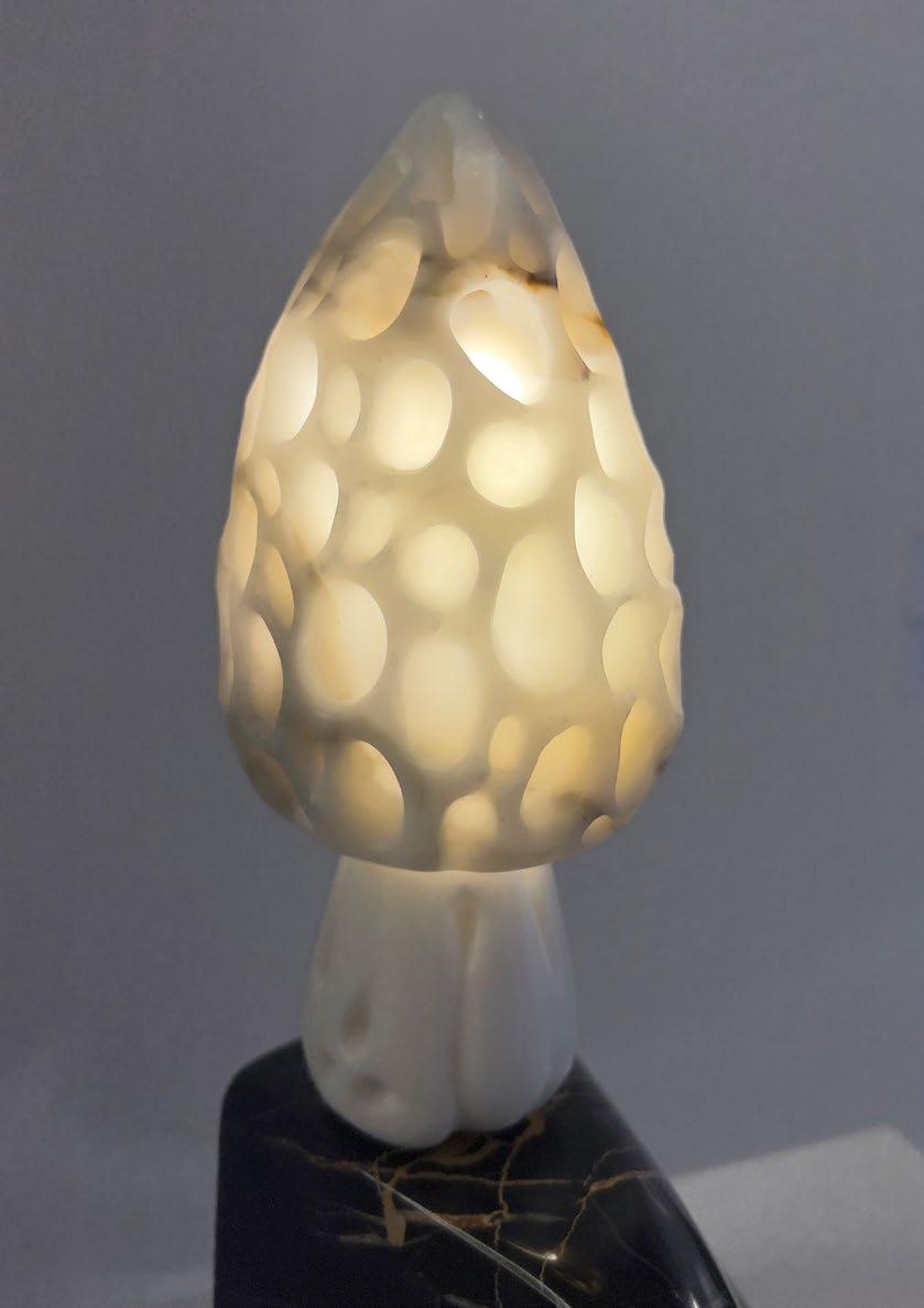 Dream Mushroom