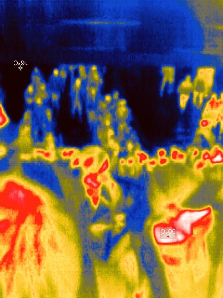Temperatura 2020 - Thumbnail 3